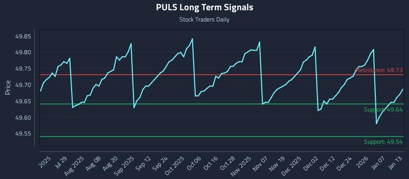 PULS Long Term Analysis for January 13 2026