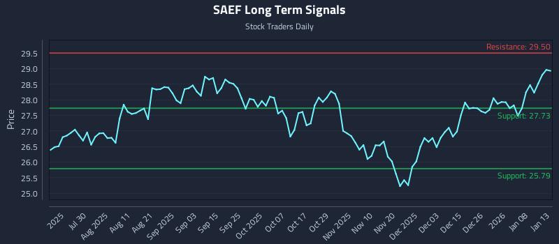 SAEF Long Term Analysis for January 14 2026 SAEF Long Term Analysis for January 14 2026