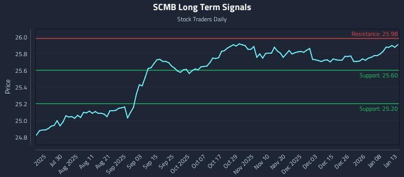 SCMB Long Term Analysis for January 14 2026