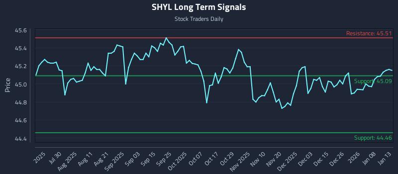 SHYL Long Term Analysis for January 14 2026