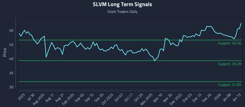 SLVM Long Term Analysis for January 14 2026