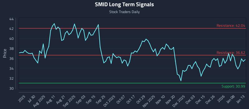 SMID Long Term Analysis for January 14 2026