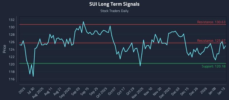 SUI Long Term Analysis for January 14 2026