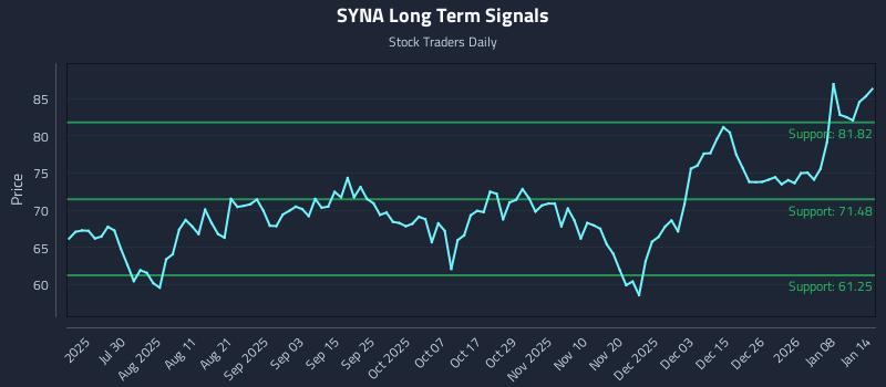 SYNA Long Term Analysis for January 14 2026