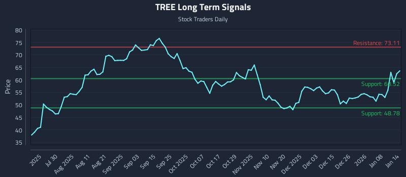 TREE Long Term Analysis for January 14 2026