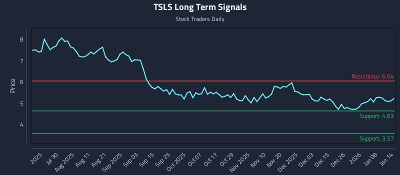 TSLS Long Term Analysis for January 14 2026