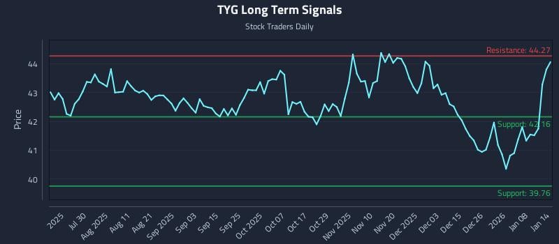 TYG Long Term Analysis for January 14 2026
