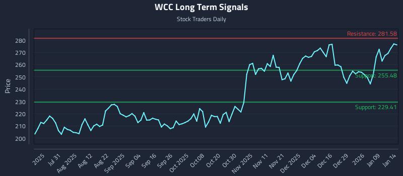 WCC Long Term Analysis for January 15 2026