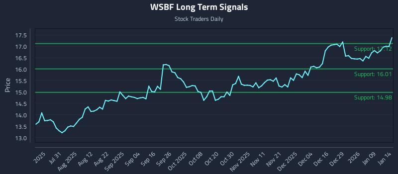 WSBF Long Term Analysis for January 15 2026