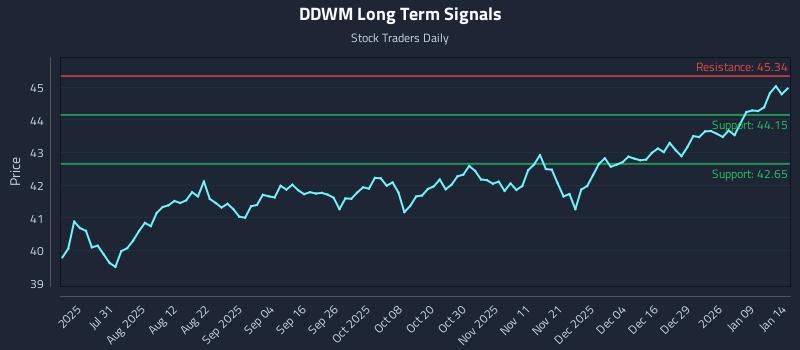 DDWM Long Term Analysis for January 15 2026