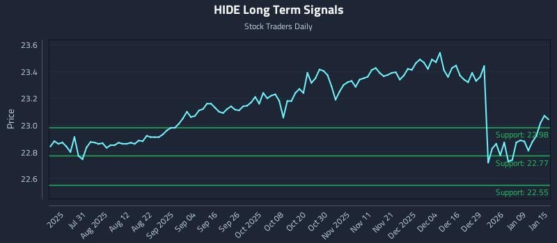 HIDE Long Term Analysis for January 15 2026