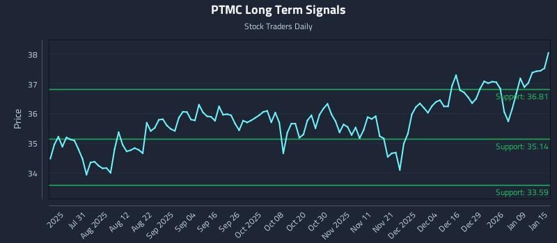PTMC Long Term Analysis for January 15 2026