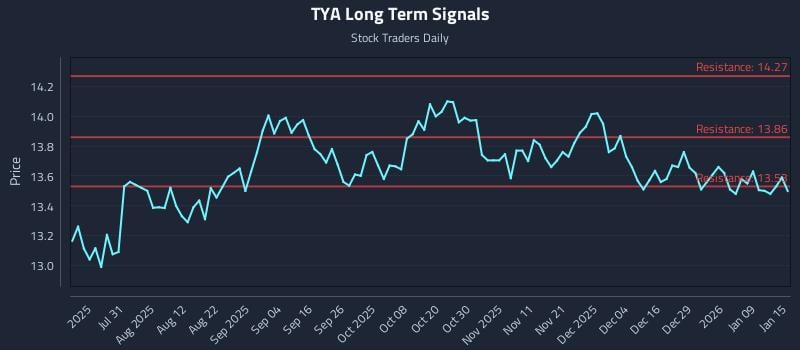 TYA Long Term Analysis for January 15 2026