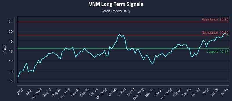 VNM Long Term Analysis for January 15 2026