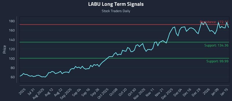 LABU Long Term Analysis for January 15 2026