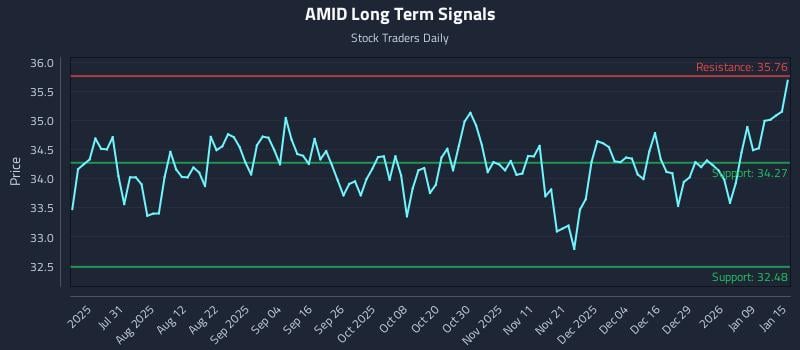 AMID Long Term Analysis for January 15 2026