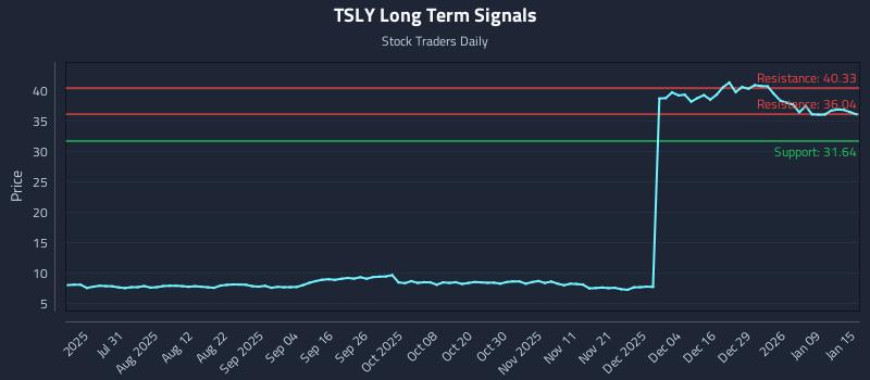 TSLY Long Term Analysis for January 15 2026