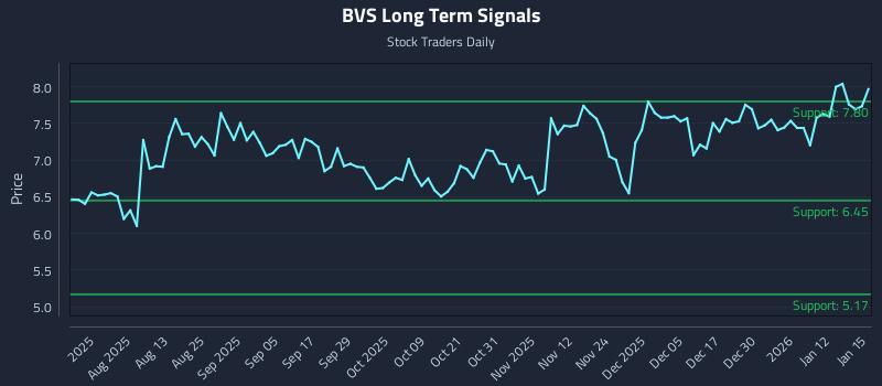 BVS Long Term Analysis for January 16 2026