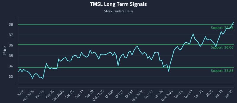 TMSL Long Term Analysis for January 16 2026