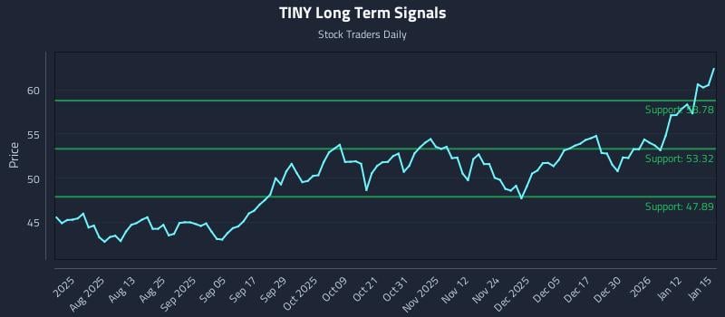 TINY Long Term Analysis for January 16 2026