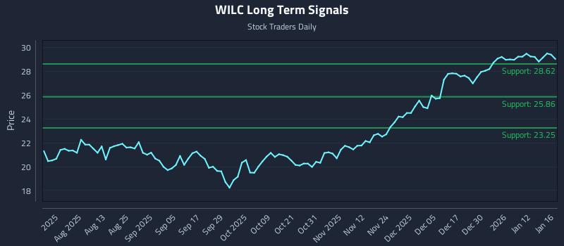 WILC Long Term Analysis for January 16 2026