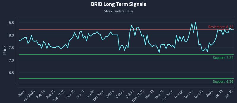 BRID Long Term Analysis for January 16 2026