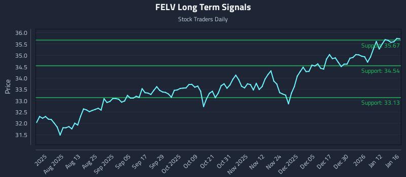 FELV Long Term Analysis for January 16 2026
