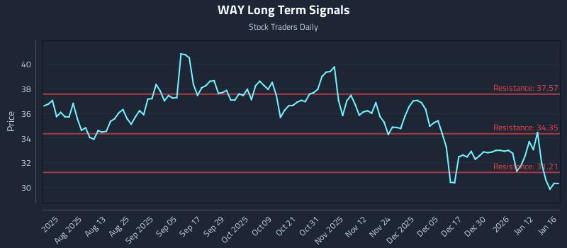 WAY Long Term Analysis for January 17 2026