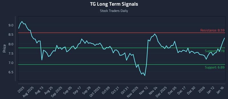 TG Long Term Analysis for January 17 2026