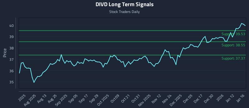 DIVD Long Term Analysis for January 17 2026