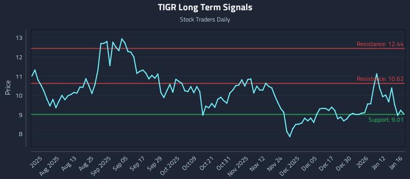 TIGR Long Term Analysis for January 17 2026