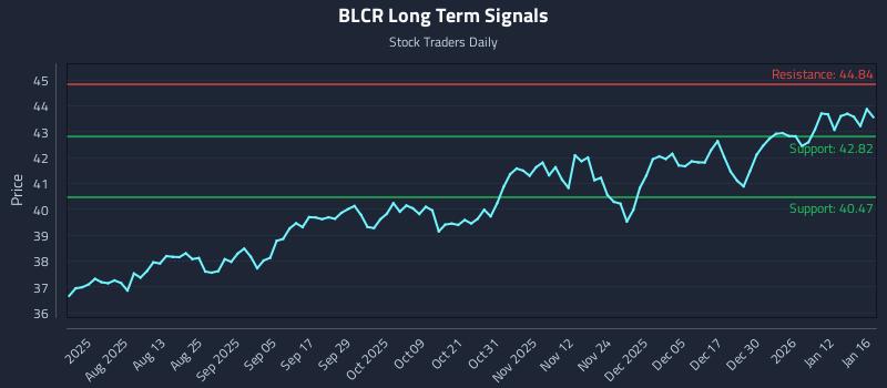 BLCR Long Term Analysis for January 17 2026