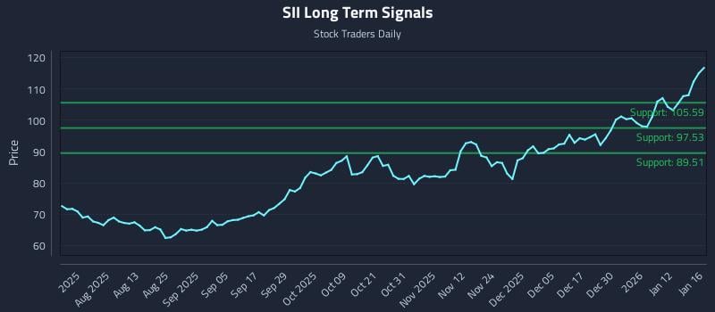 SII Long Term Analysis for January 17 2026