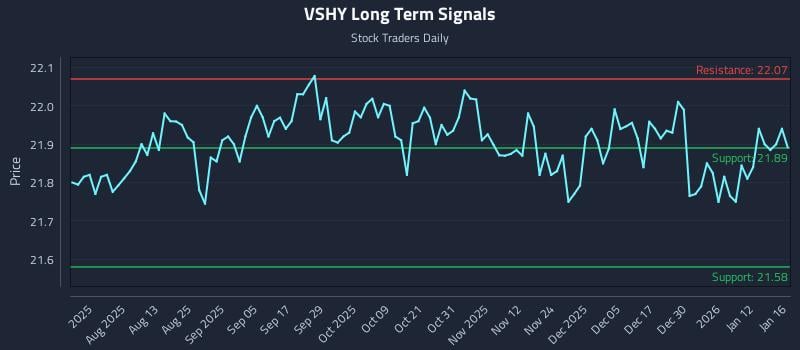 VSHY Long Term Analysis for January 17 2026
