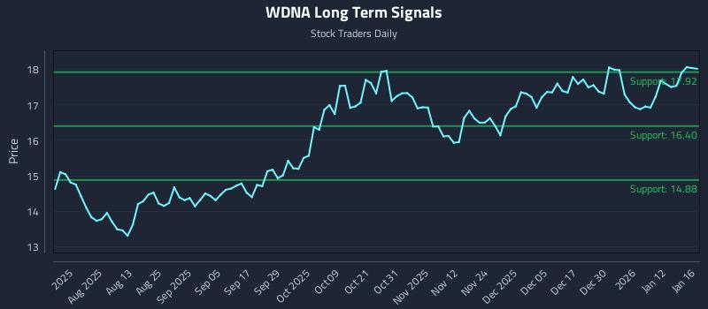 WDNA Long Term Analysis for January 17 2026