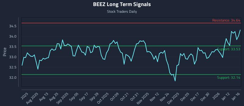 BEEZ Long Term Analysis for January 17 2026