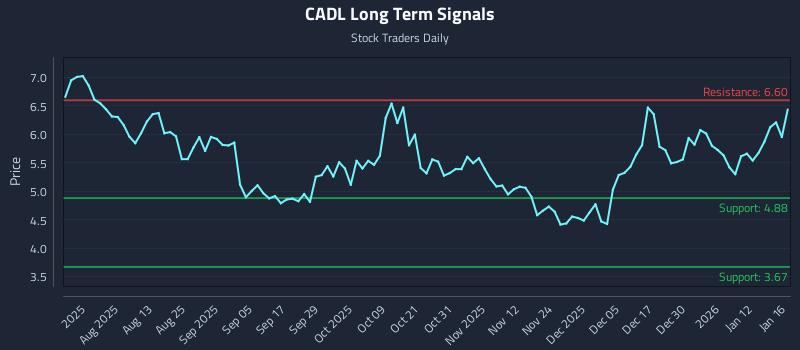 CADL Long Term Analysis for January 17 2026