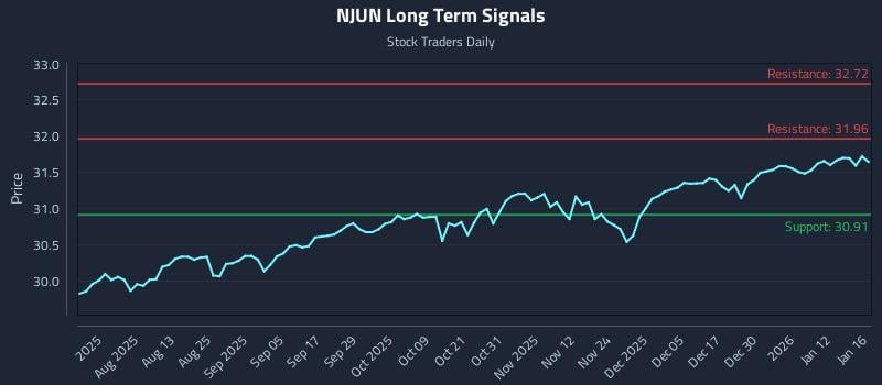 NJUN Long Term Analysis for January 17 2026