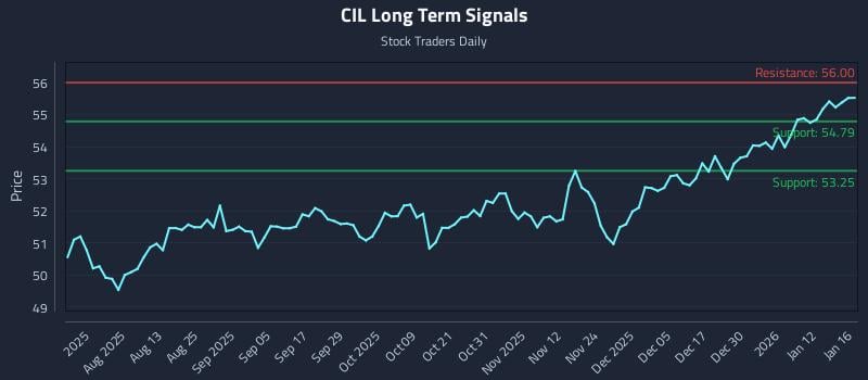 CIL Long Term Analysis for January 17 2026 CIL Long Term Analysis for January 17 2026