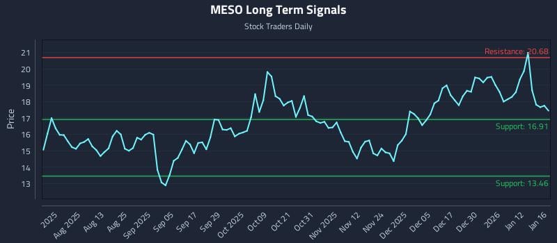 MESO Long Term Analysis for January 18 2026