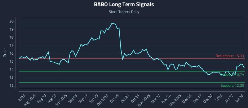 BABO Long Term Analysis for January 18 2026