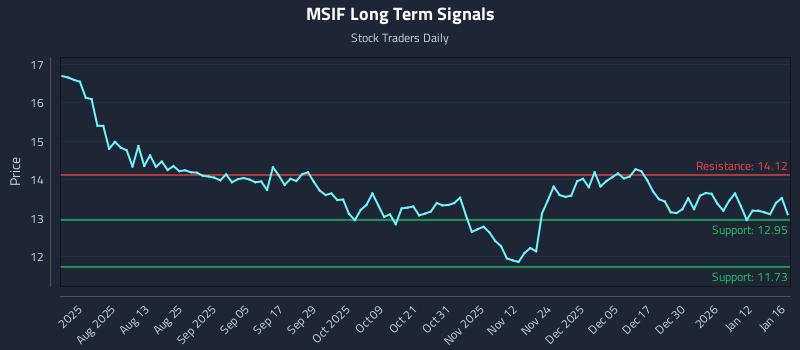 MSIF Long Term Analysis for January 19 2026
