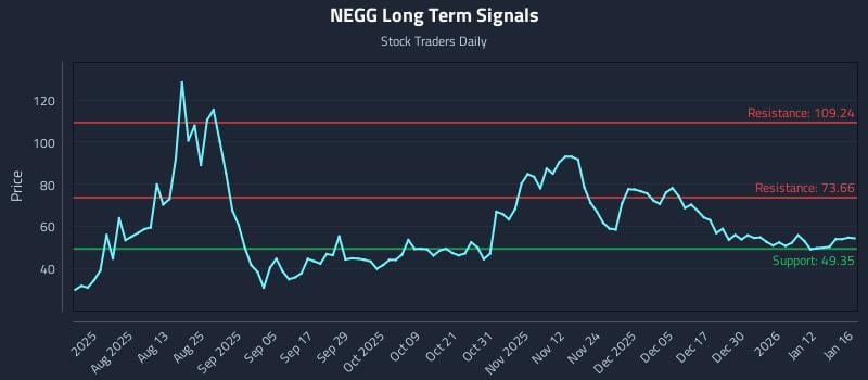 NEGG Long Term Analysis for January 19 2026