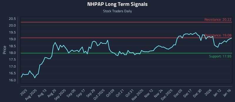 NHPAP Long Term Analysis for January 19 2026