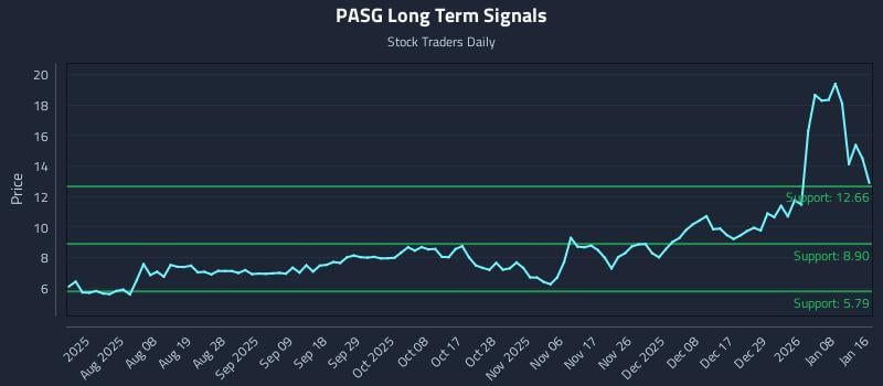 PASG Long Term Analysis for January 19 2026