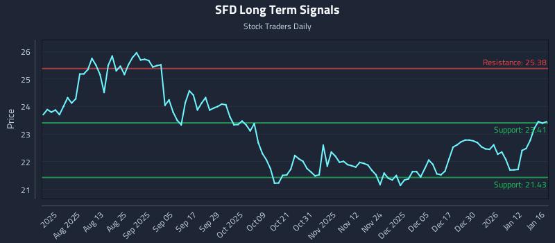 SFD Long Term Analysis for January 19 2026
