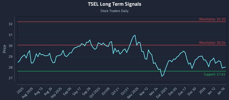 TSEL Long Term Analysis for January 19 2026