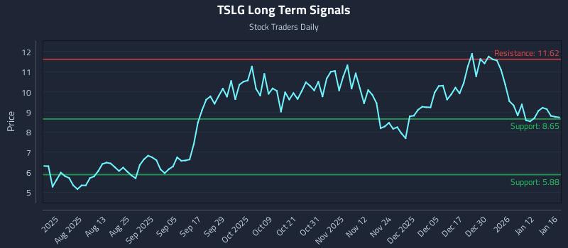 TSLG Long Term Analysis for January 19 2026