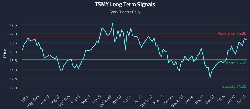 TSMY Long Term Analysis for January 19 2026
