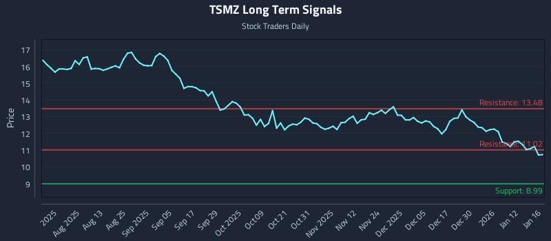 TSMZ Long Term Analysis for January 19 2026